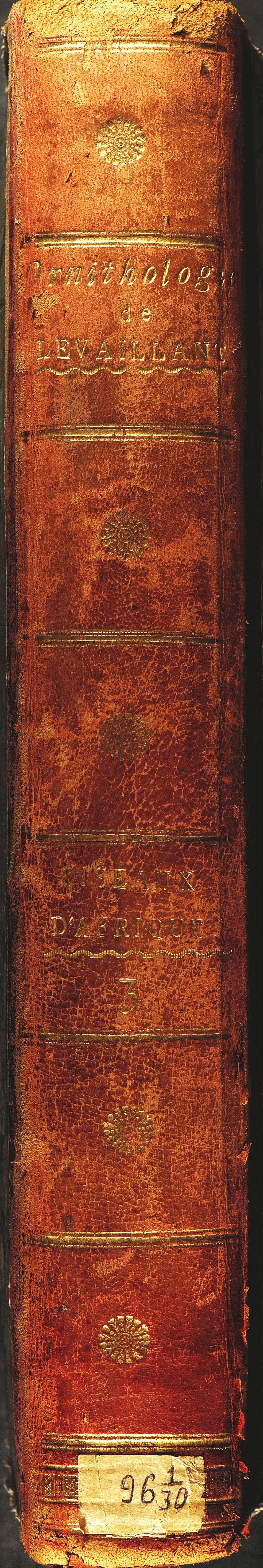Histoire naturelle des oiseaux d’Afrique; par François Levaillant. T. III. - Paris, 1802